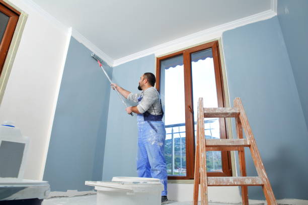 Professional Dry wall and painting in Lanse, MI